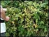 070706_PICT0033.JPG