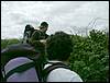 070706_PICT0034.JPG