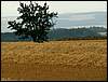 070706_PICT0059.JPG