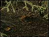 070706_PICT0064.JPG