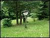070706_PICT0068.JPG