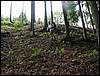 070706_PICT0070.JPG