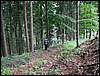 070706_PICT0072.JPG