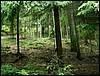 070706_PICT0073.JPG