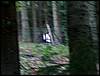 070706_PICT0074.JPG