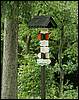 070706_PICT0101.JPG