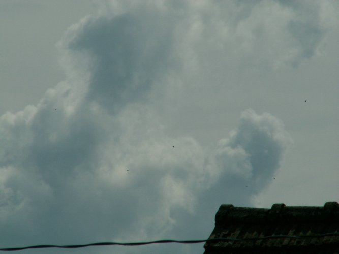 070820b_PICT0029.JPG
