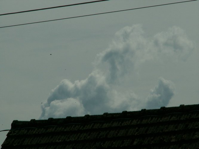 070820b_PICT0032.JPG