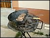 070820b_PICT0004.JPG