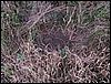 070820b_PICT0013.JPG