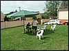 070820b_PICT0015.JPG