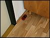 070822_PICT0001.JPG
