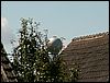 070822_PICT0006.JPG