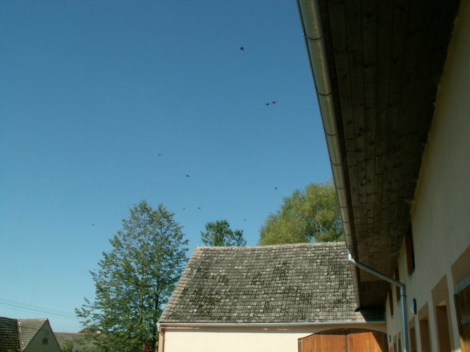 070824_PICT0003.JPG