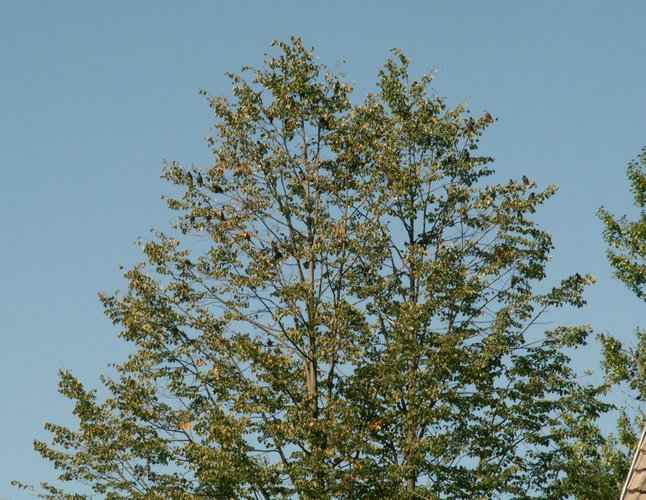 070824_PICT0004.JPG