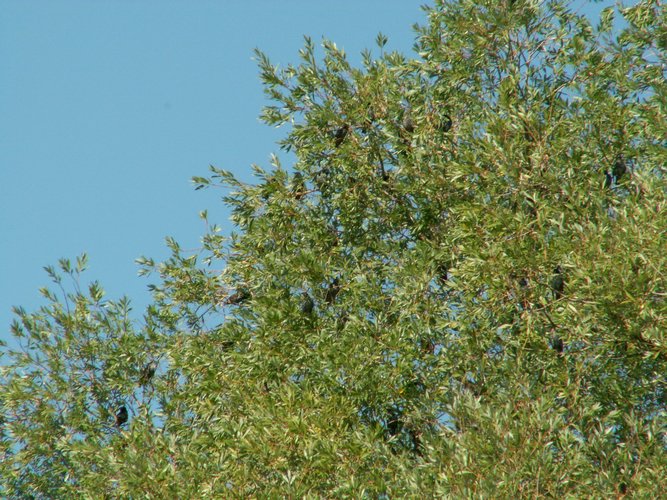 070824_PICT0007.JPG
