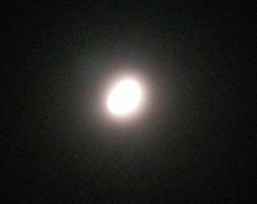 070825_PICT0013.JPG