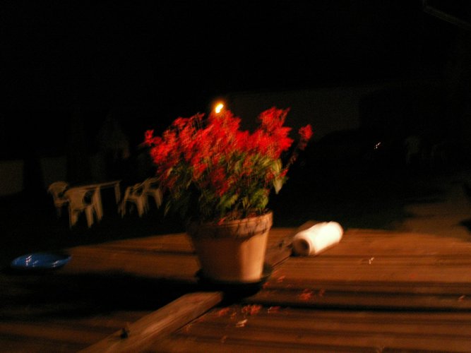 070825_PICT0014.JPG