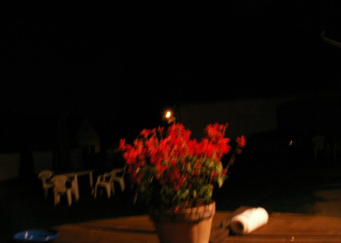 070825_PICT0015.JPG