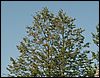 070824_PICT0004.JPG