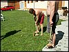 070824_PICT0019.JPG