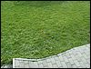 070824_PICT0023.JPG