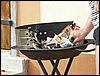 070824_PICT0031v.jpg