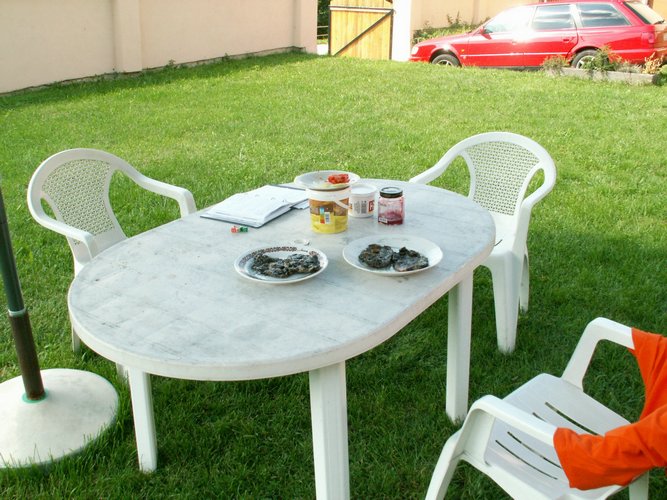 070827_PICT0009.JPG