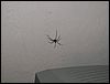 070827_PICT0022.JPG