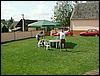070828_PICT0001.JPG