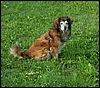 070828_PICT0038.JPG