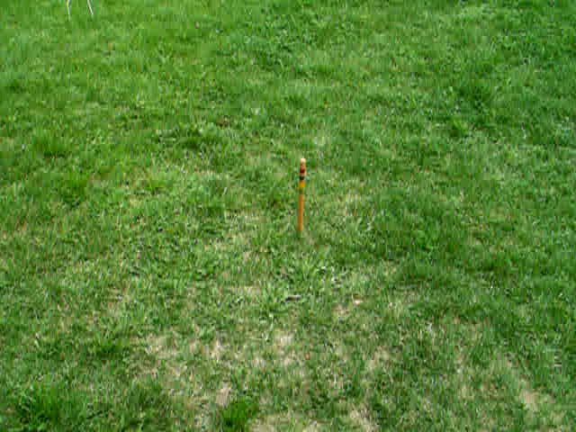 070829_PICT0010v.jpg