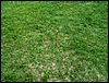 070829_PICT0010v.jpg