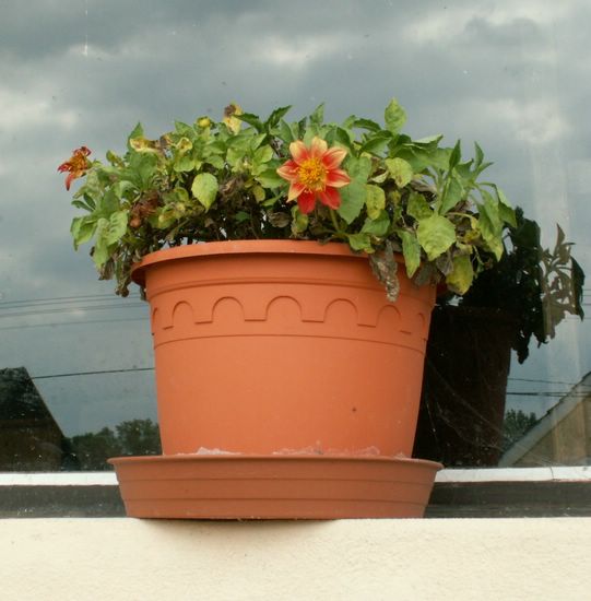 070830_PICT0005.JPG