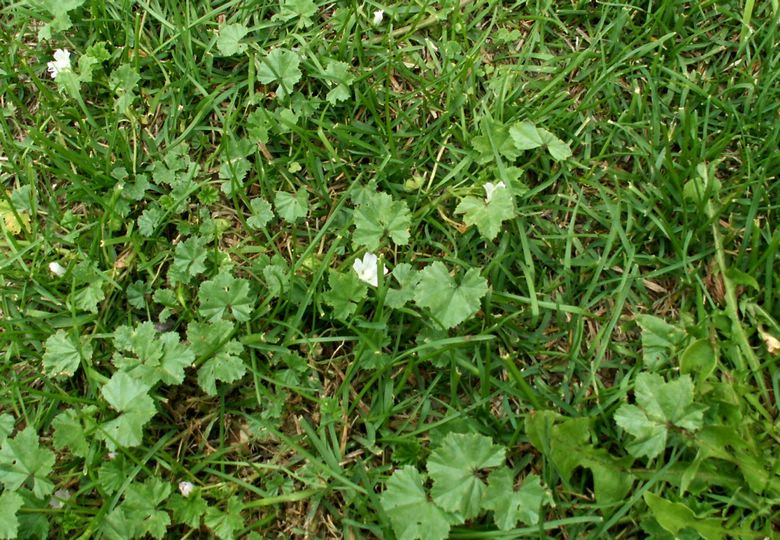 070830_PICT0013.JPG
