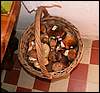 070830_PICT0001.JPG