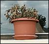 070830_PICT0003.JPG