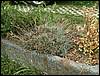 070830_PICT0007.JPG