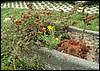 070830_PICT0008.JPG
