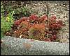 070830_PICT0009.JPG