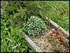 070830_PICT0011.JPG