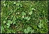 070830_PICT0013.JPG