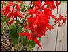 070830_PICT0014.JPG