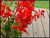 070830_PICT0015.JPG