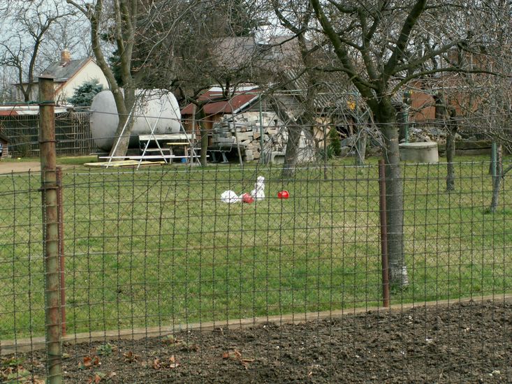 080322_PICT0008.JPG