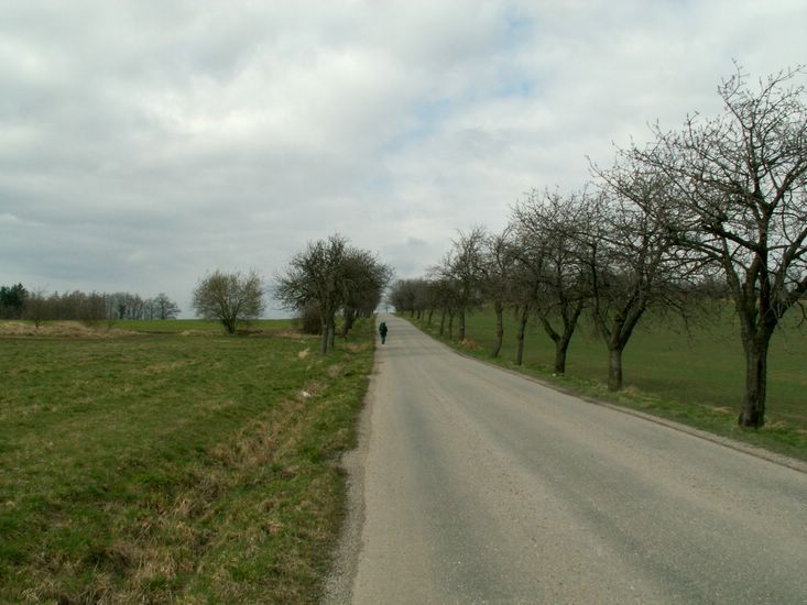 080322_PICT0021.JPG