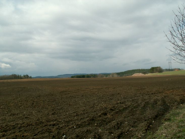 080322_PICT0023.JPG