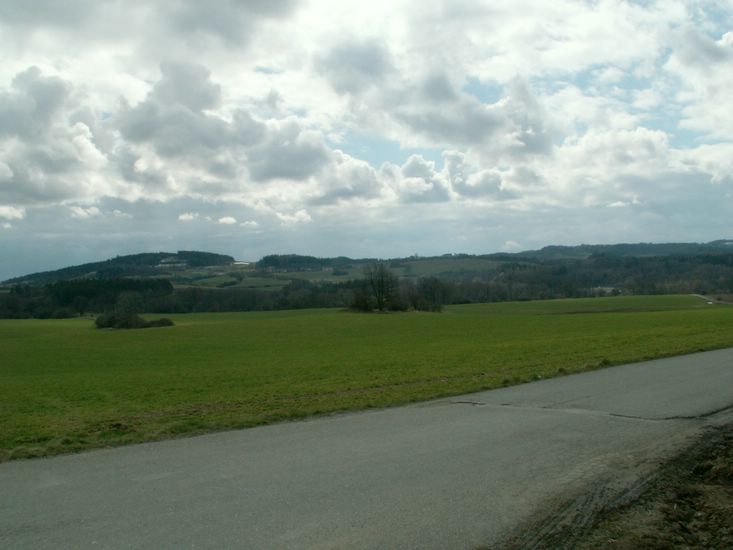 080322_PICT0024.JPG