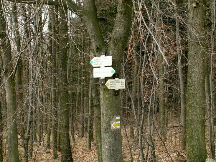 080322_PICT0028.JPG