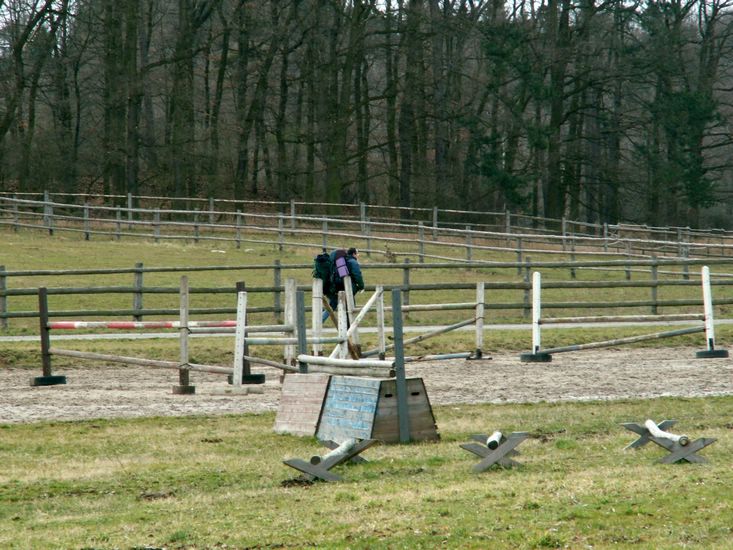 080322_PICT0035.JPG